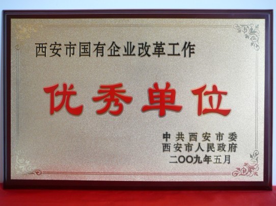 2009年5月，被西安市委、市当驹炖为西安市国企业鼎新工作优良单元