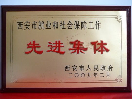 2009年2月，被西安市当驹炖为西安市就业和社会保险工作先进集体