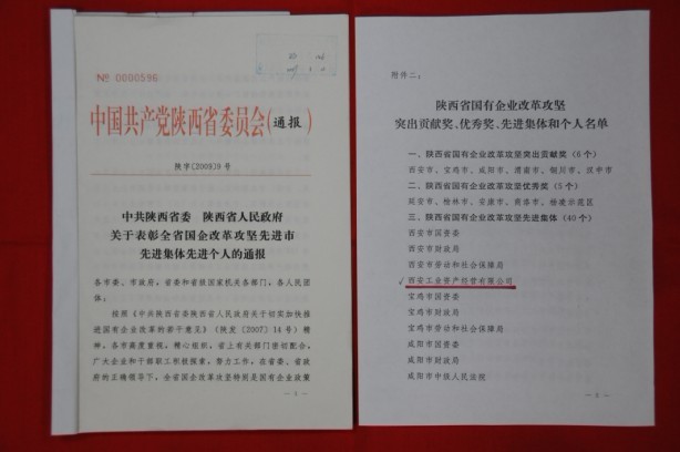 2009年2月，被陕西省委、省敌灾授予陕西省国有企业鼎新攻坚先进集体
